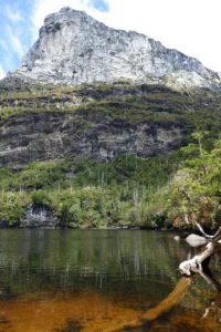 Nature and mindfulness connection for mental wellness